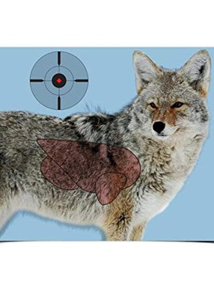 Birchwood Casey Pregame Targets - Coyote 16.5"x24" 3 Pack