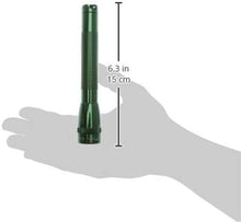 Minimag AA Gift Box, Dark Green