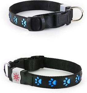DM Merchandising Night Scout Large Blue Dog Collar