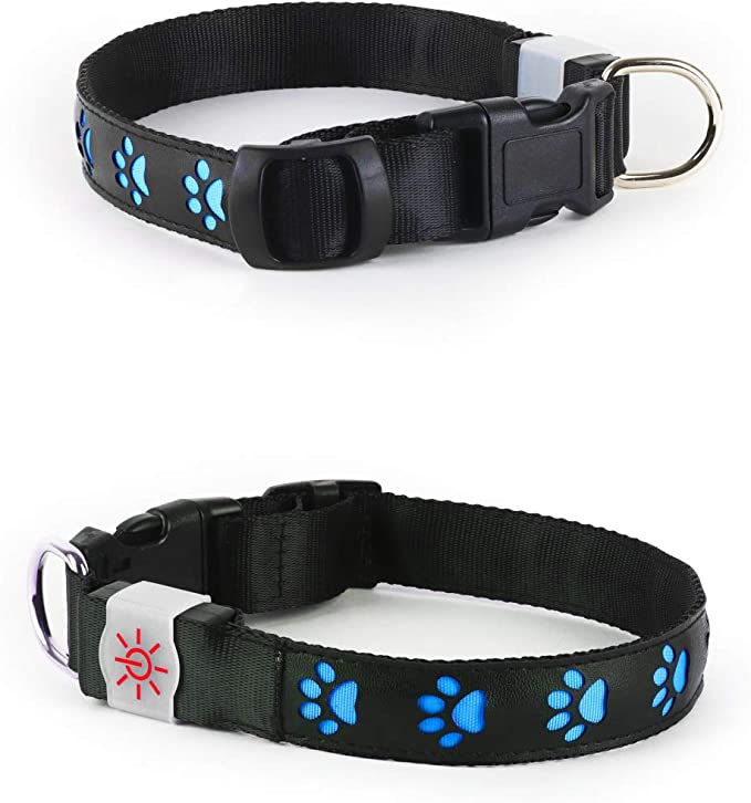 DM Merchandising Night Scout Large Blue Dog Collar